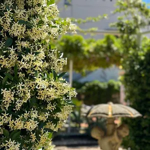 Angelina , Giardini-Naxos Włochy